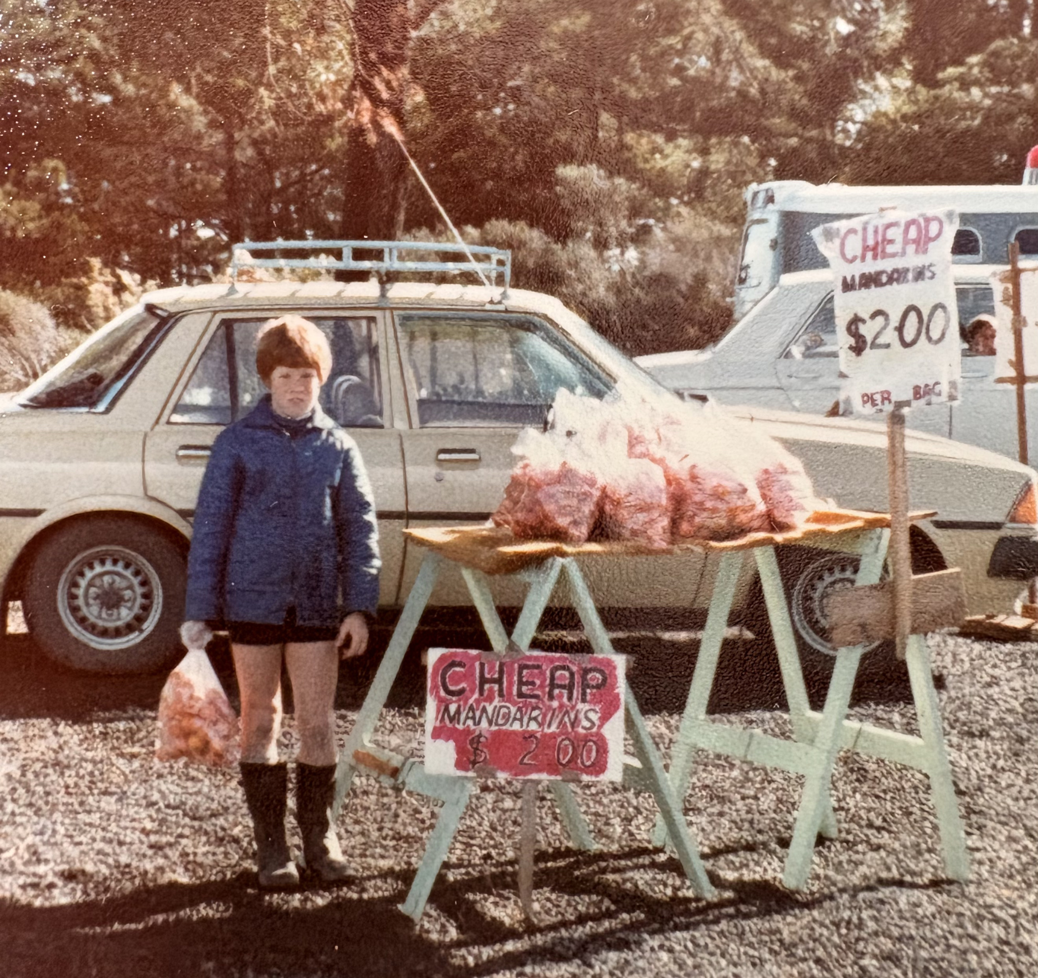 Craigs side hustle selling fruit roadside. kids never to young to learn about earning money Financial Literacy for Kids That Builds Money Confidence for Life